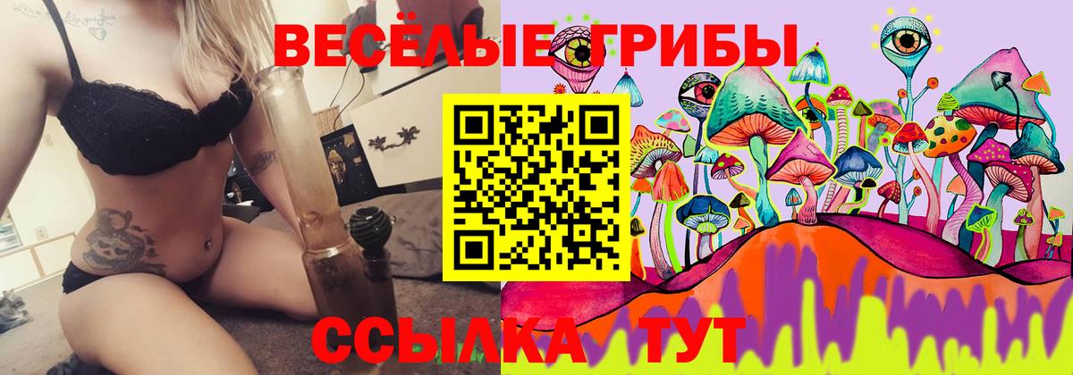 Псилоцибиновые грибы мицелий Надым