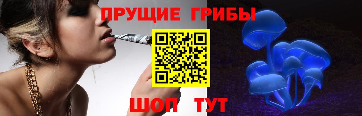 Надым  Псилоцибиновые грибы GOLDEN TEACHER  наркошоп  Вход с VPN 